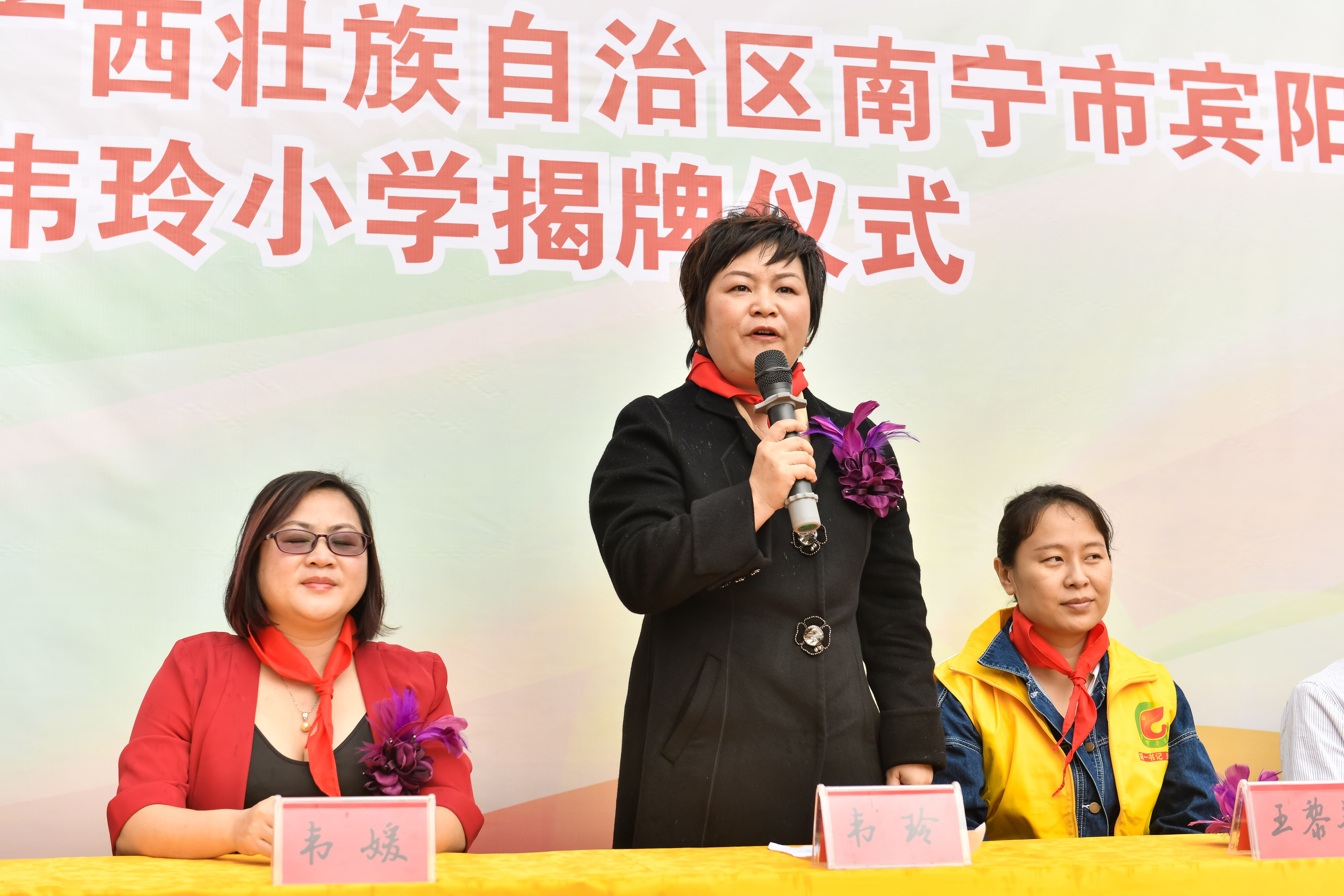 第184所  南宁市宾阳县思陇镇昆仑村九游网-九游（中国）
韦玲小学